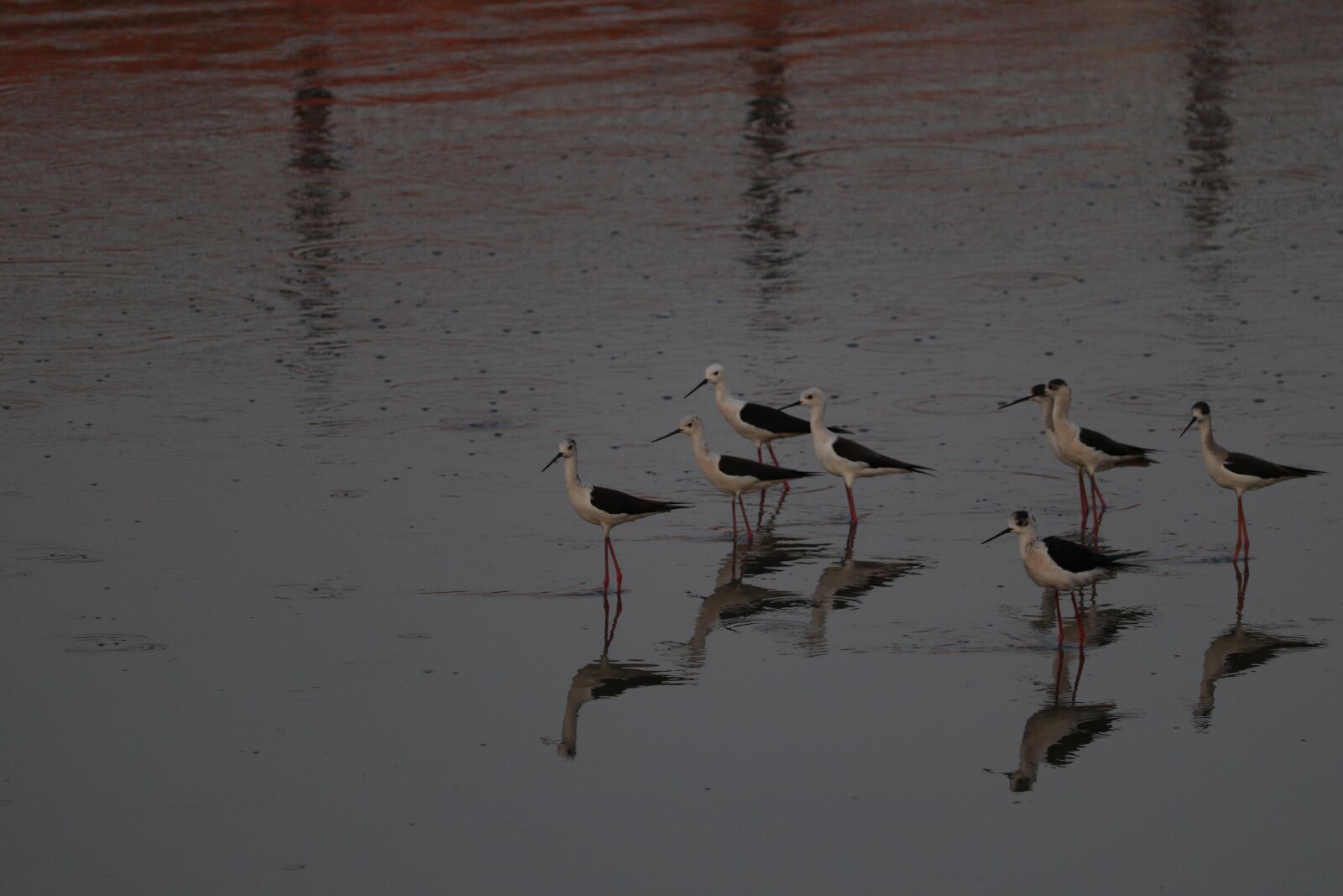 Canon EF-S 55-250mm F4-5.6 IS STM sample photo. Water, landscape, nature photography