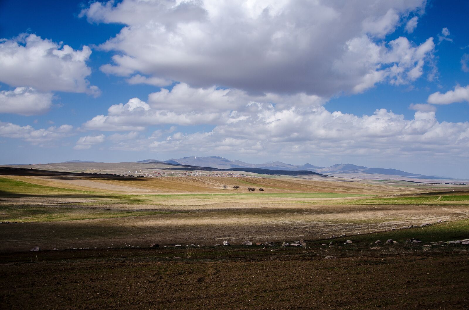 Nikon D7000 sample photo. Trees, sky, mountains photography