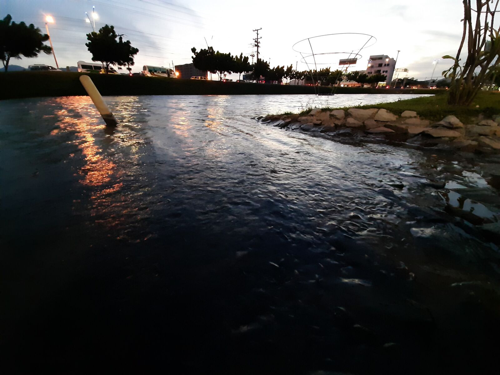 Samsung Galaxy A50 sample photo. Water, lake, fish photography