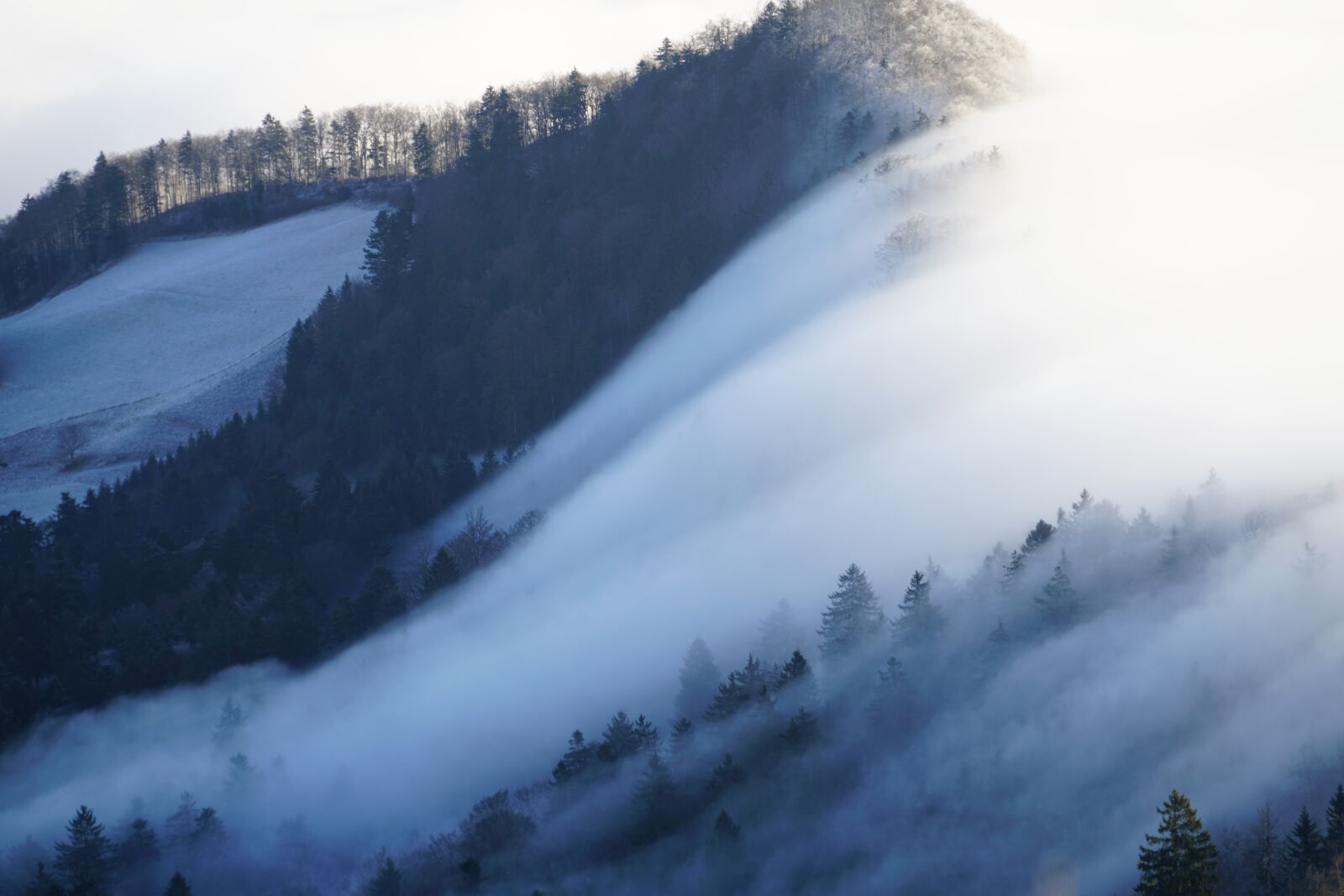 Sony FE 24-240mm F3.5-6.3 OSS sample photo. Fog, nebellandschaft, wave of photography