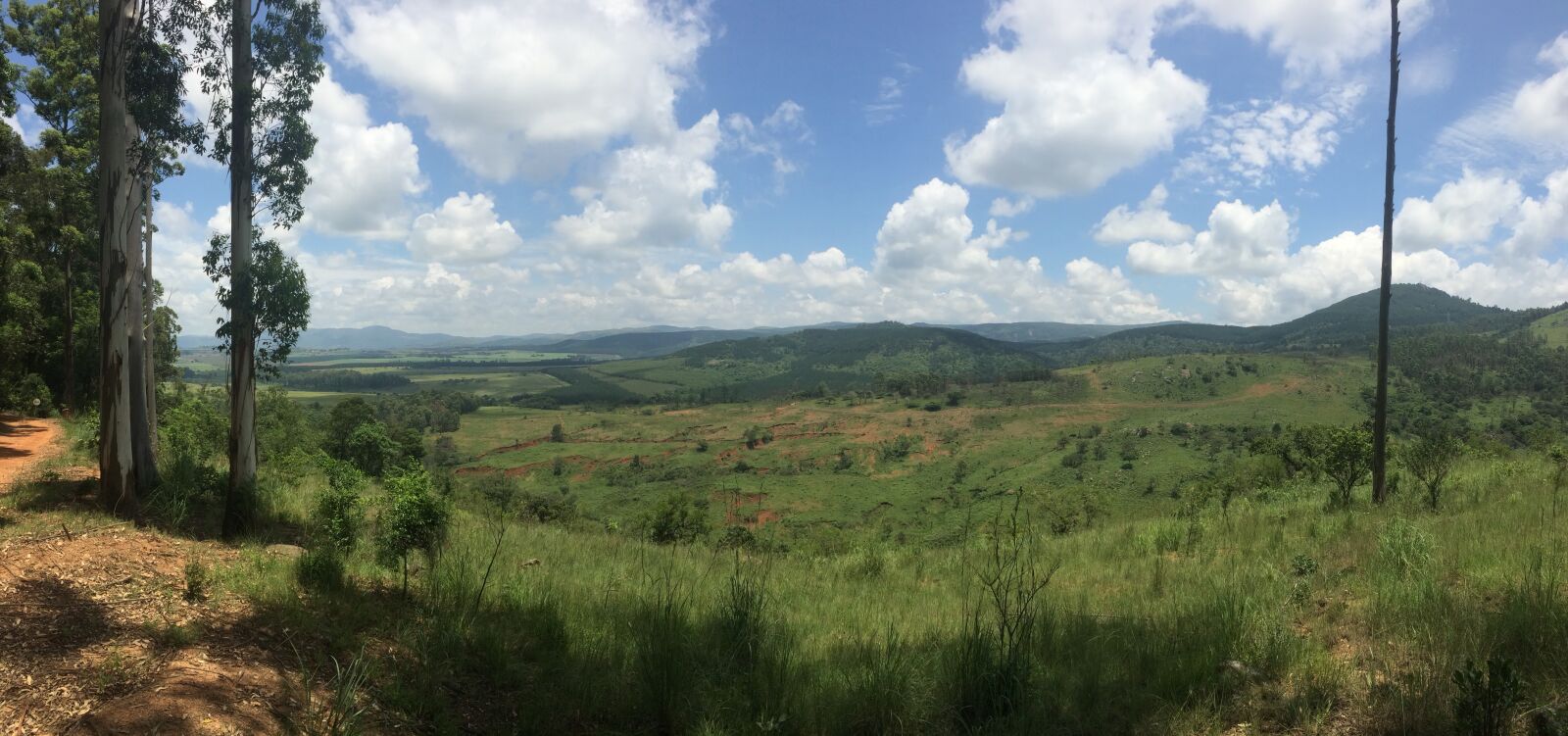 iPhone 5s back camera 4.15mm f/2.2 sample photo. South africa, eswatini, nyonyane photography