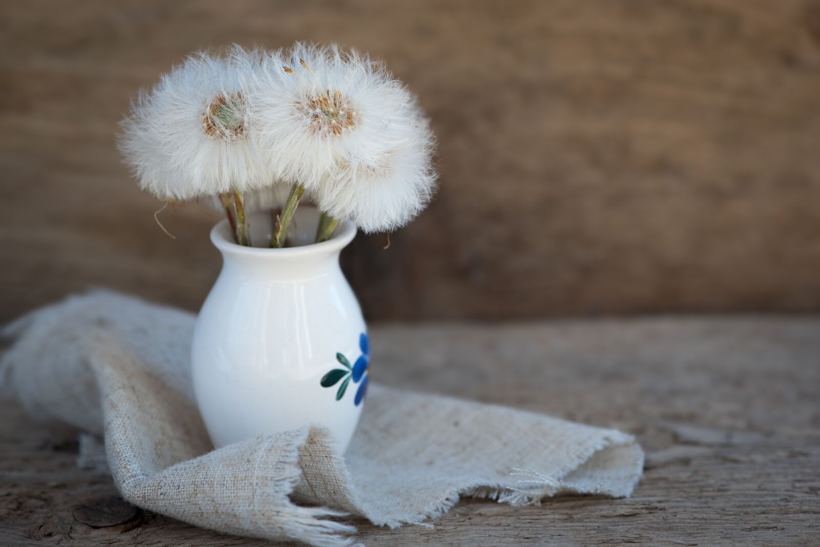 Nikon D750 sample photo. Dandelion, tussilago farfara, seeds photography