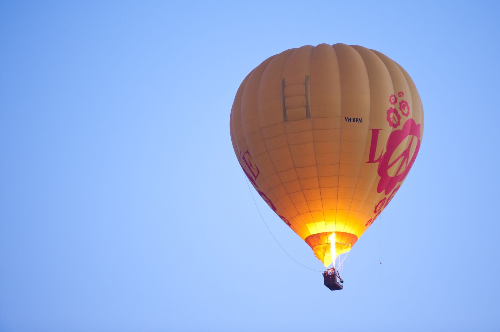 Nikon D700 sample photo. Hot air balloon, fire photography