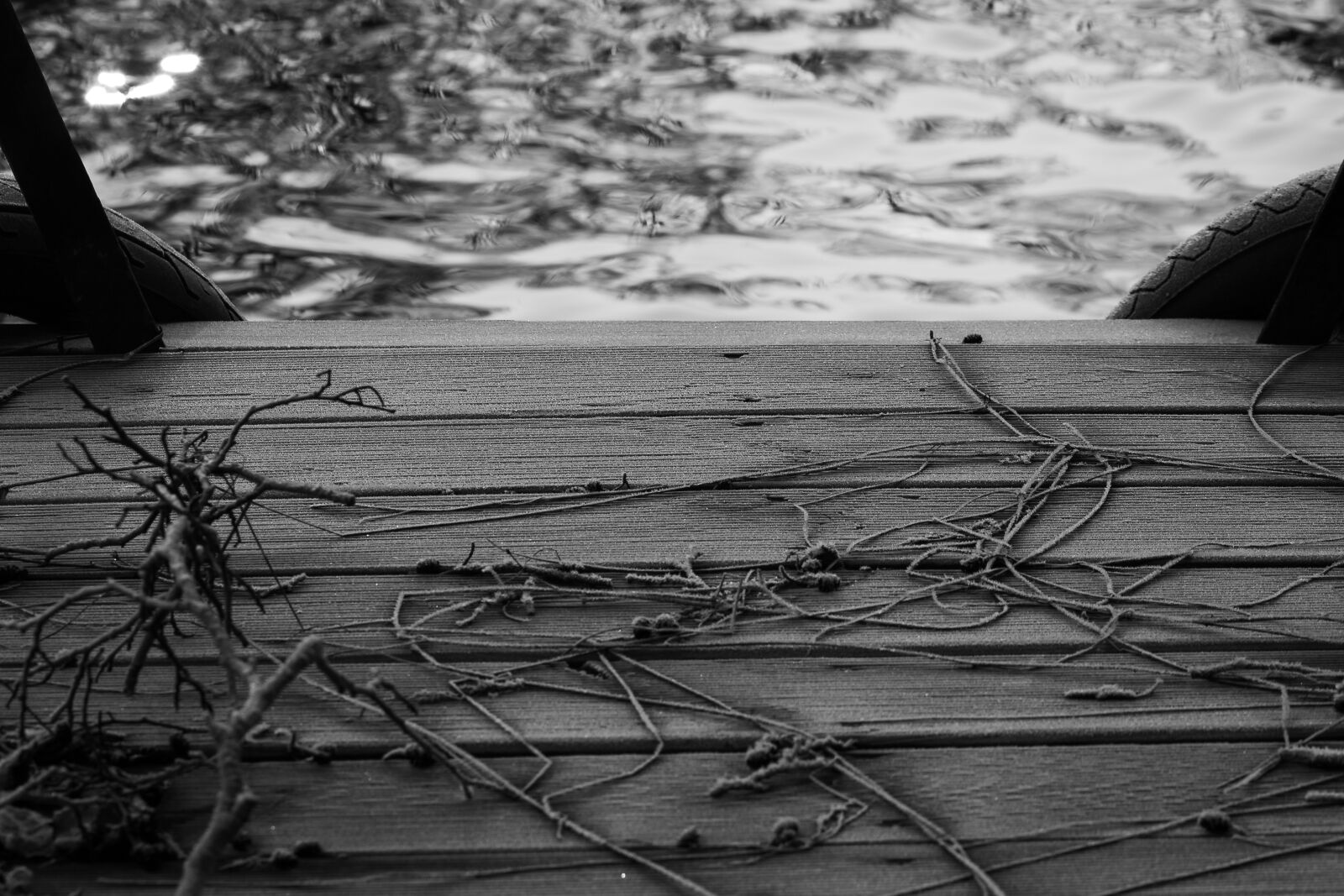 Canon EOS 70D sample photo. Web, ice, winter photography