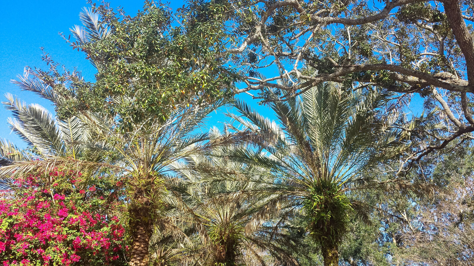 Samsung Galaxy S4 sample photo. Blue, blue, skies, clear photography