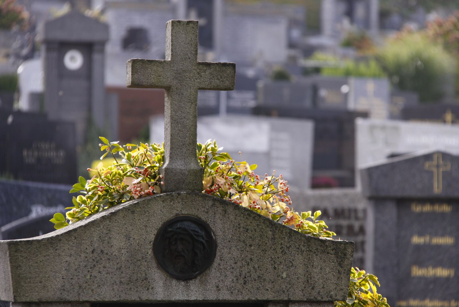 Canon EOS 50D sample photo. Cross, stone, cemetery photography