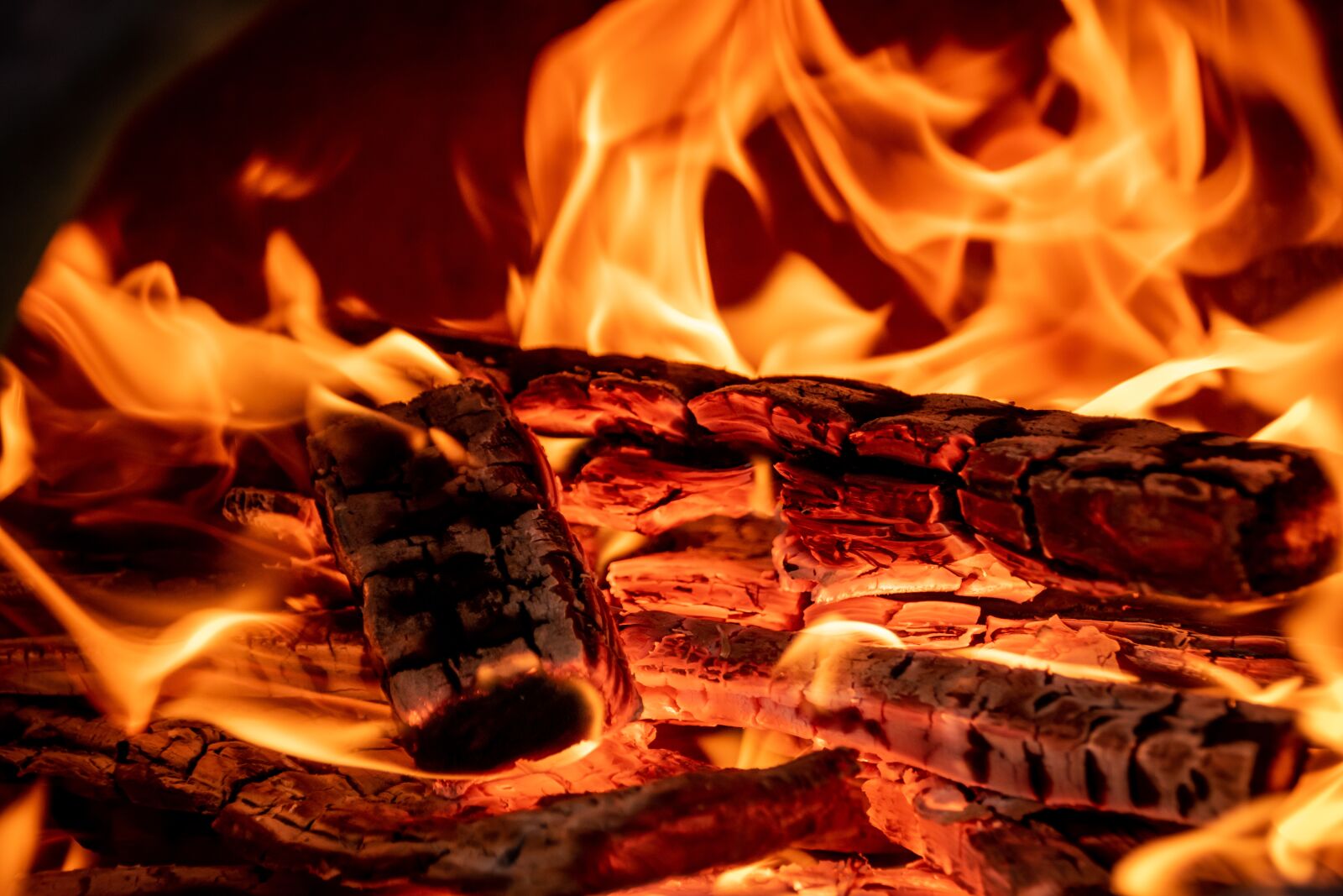 Nikon D3400 sample photo. Fire, wood, campfire photography