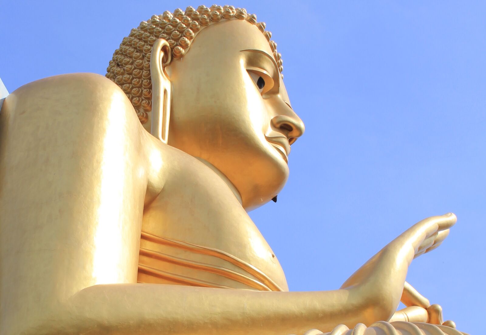 Canon EOS 550D (EOS Rebel T2i / EOS Kiss X4) sample photo. Buddha, sri lanka, temple photography
