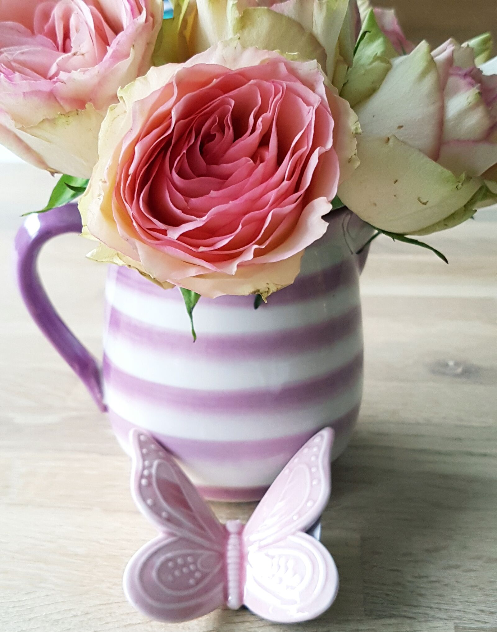 Samsung Galaxy S7 sample photo. Rose, flower, blossom photography