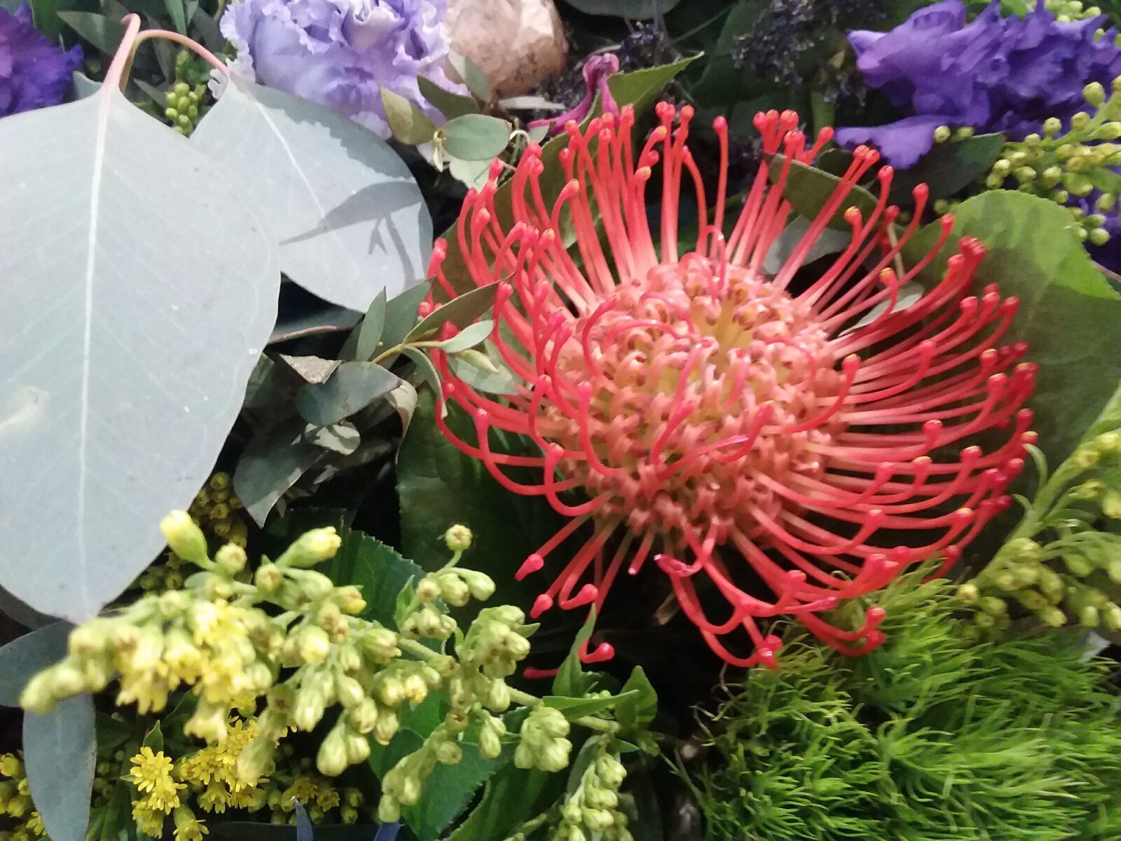 Samsung Galaxy J3(2016) sample photo