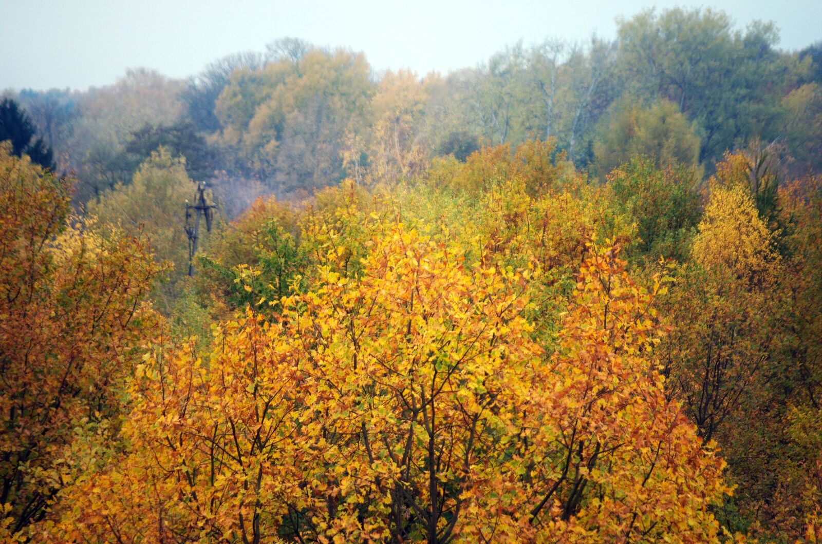 Nikon D5100 sample photo. Landscape, autumn, nature photography