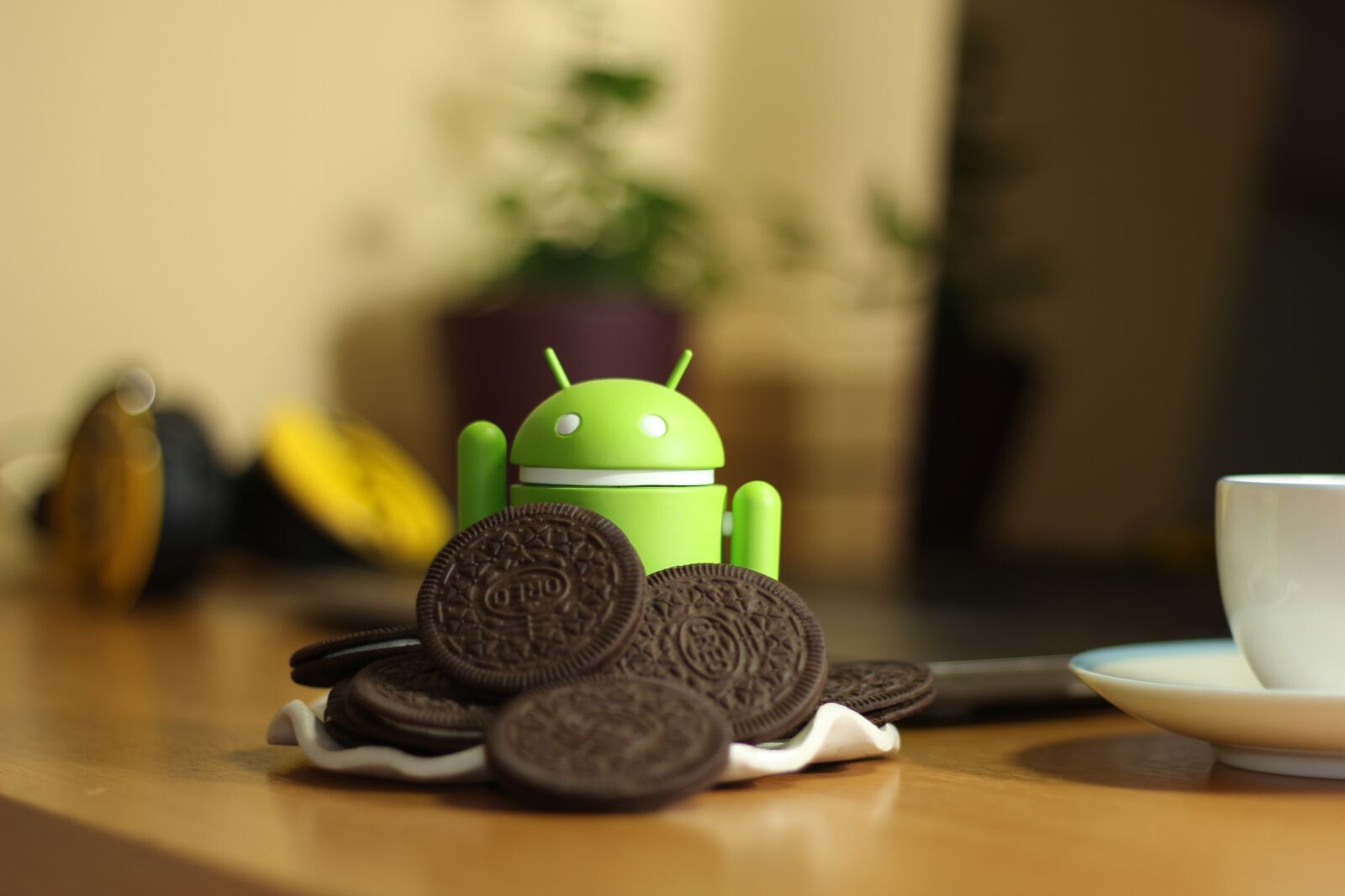 Canon EOS 60D + Canon EF 50mm F1.8 II sample photo. Android, oreo, coffee photography