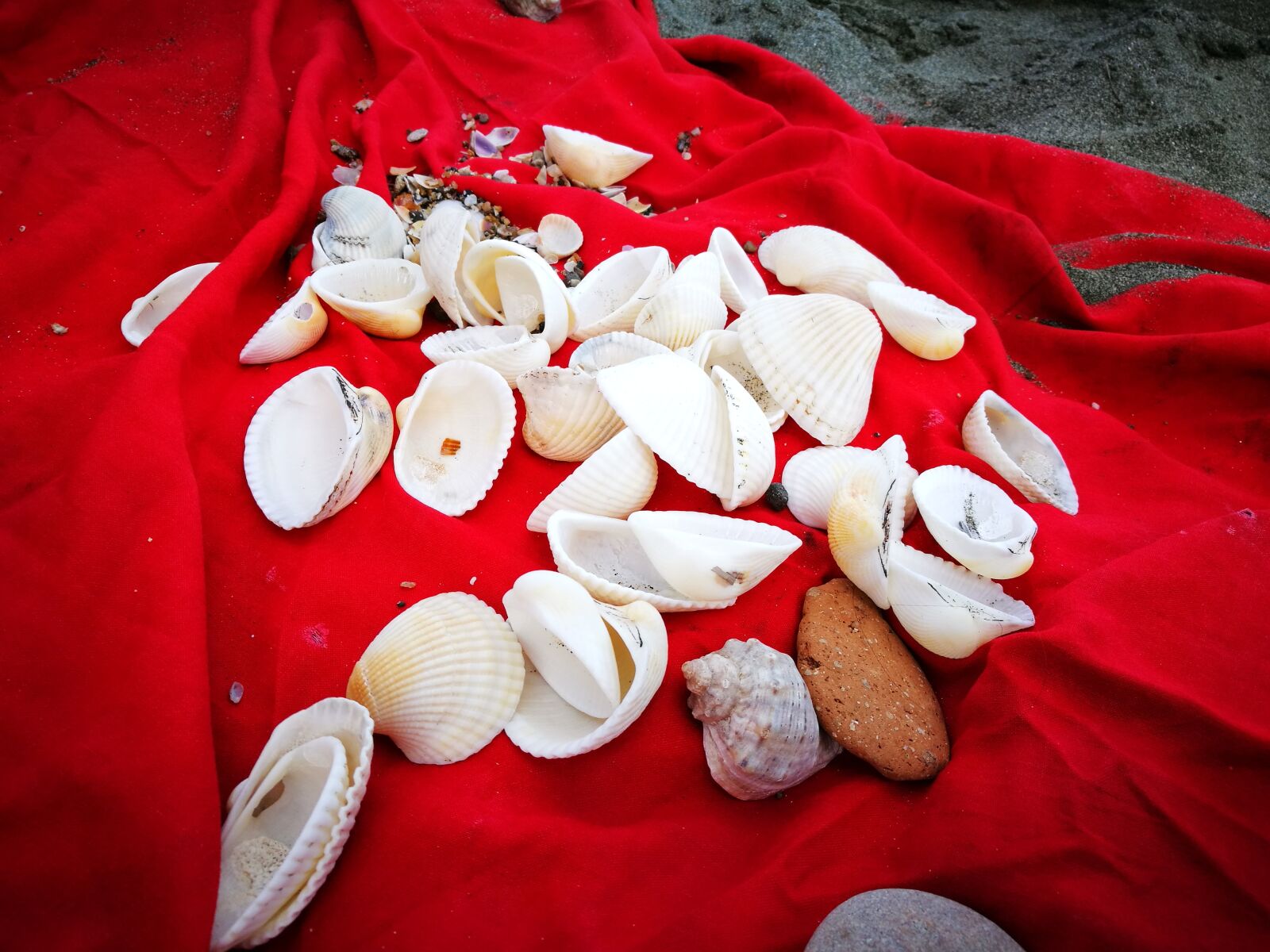 HUAWEI P9 sample photo. Mussels, beach, red photography