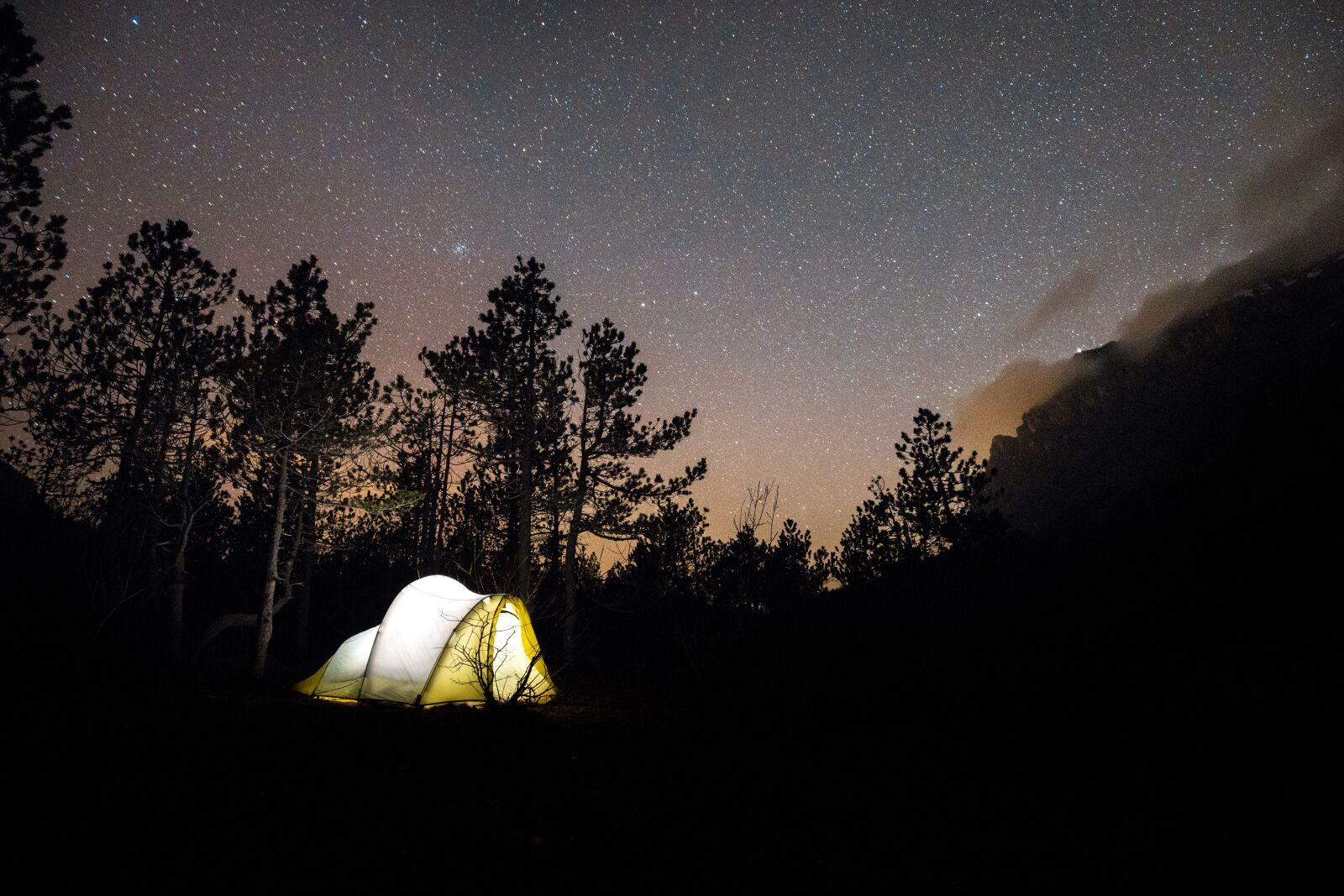 Canon EF 16-35mm F4L IS USM sample photo. Astronomy, backgrounds, tree photography