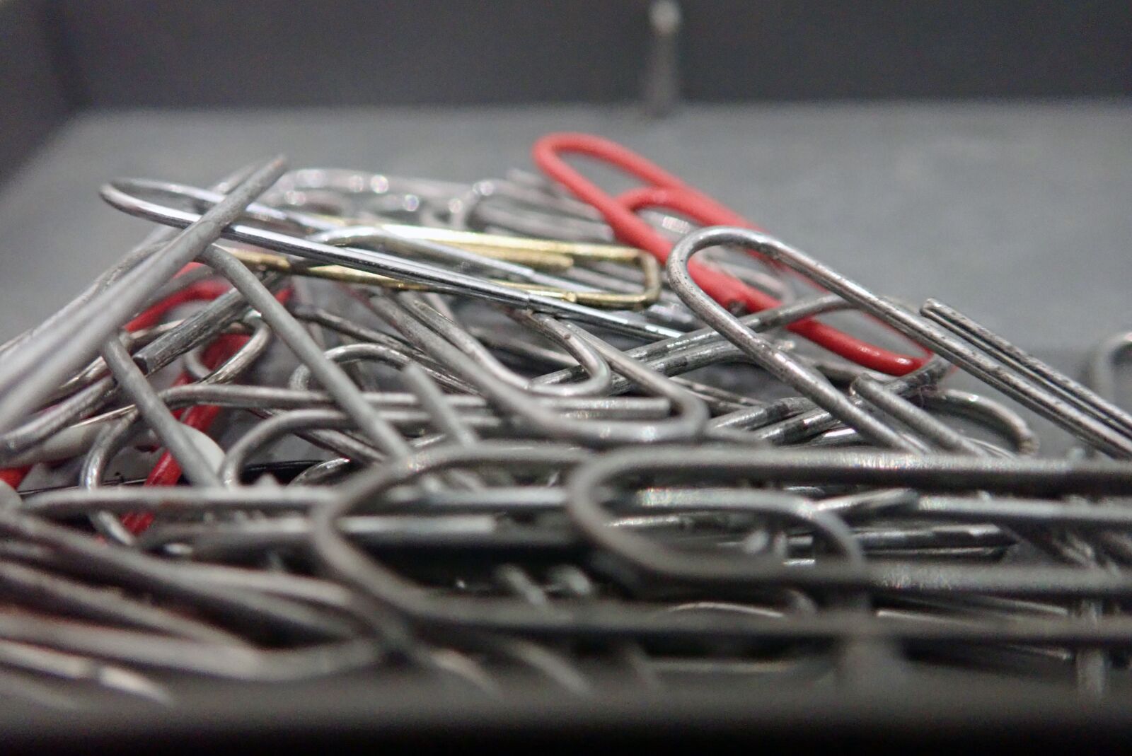 Olympus TG-5 sample photo. Paper clips, stationery, office photography