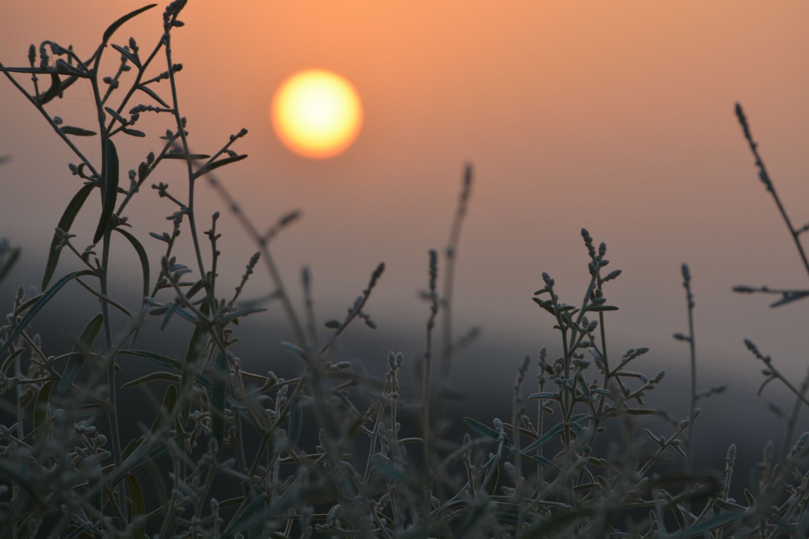 Nikon D5200 sample photo. Sunrise, sunset, dawn photography