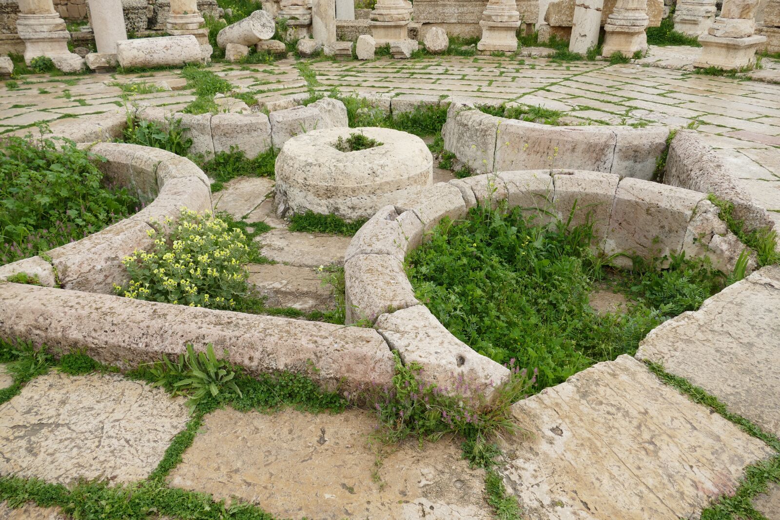 Panasonic Lumix DMC-FZ1000 sample photo. Jordan, jerash, gerasa photography