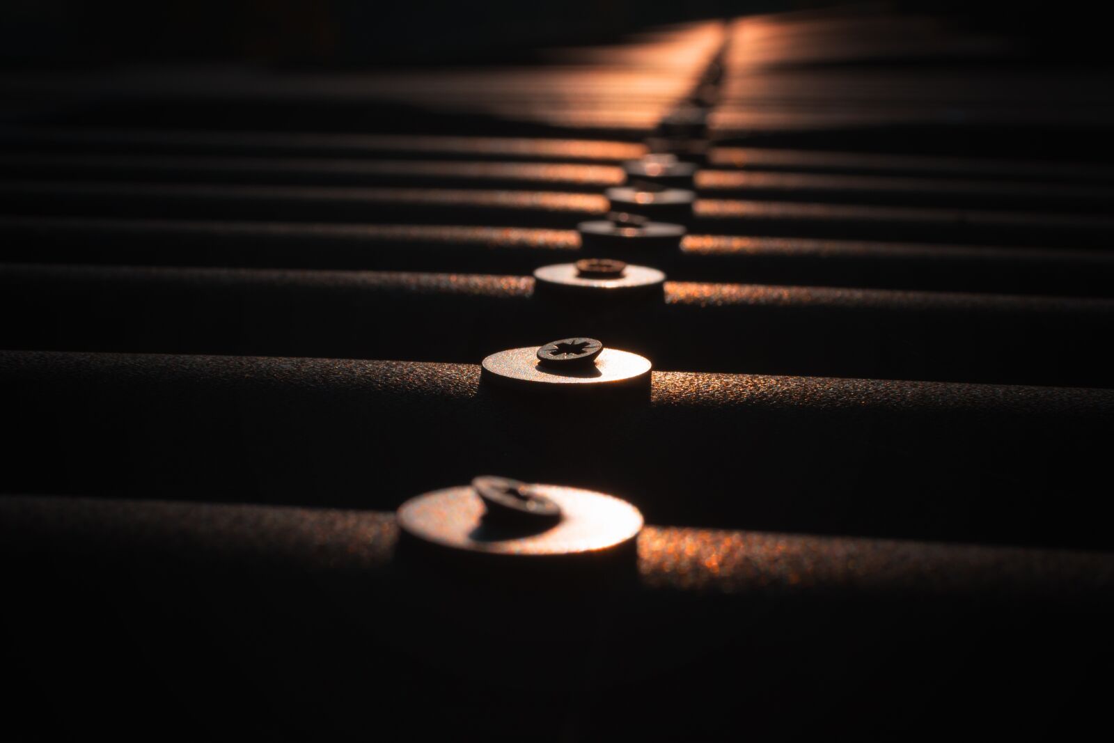 Nikon D7200 sample photo. Screw, torx, spax photography