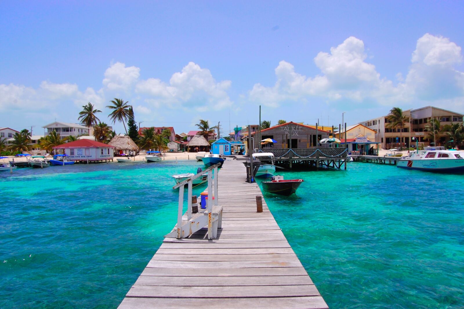 Nikon D40 sample photo. Belize, san pedro, tropical photography
