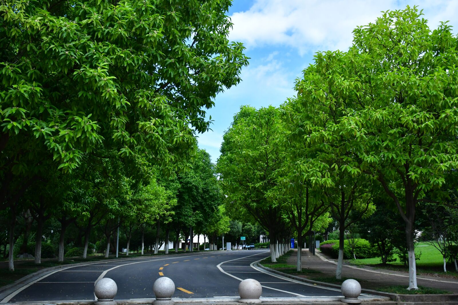Nikon D7500 sample photo