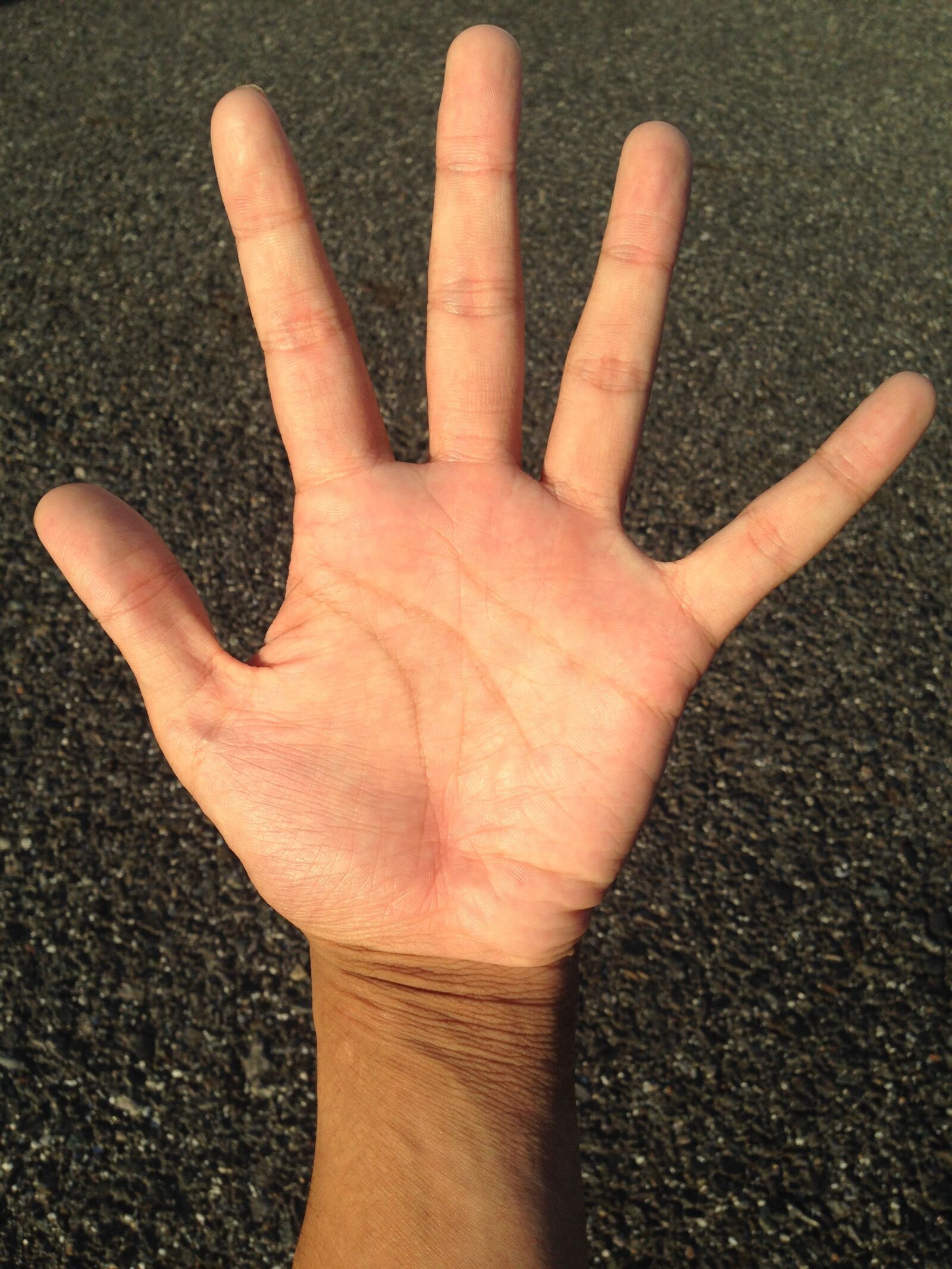iPhone 5 back camera 4.12mm f/2.4 sample photo. Palm, hand, finger photography