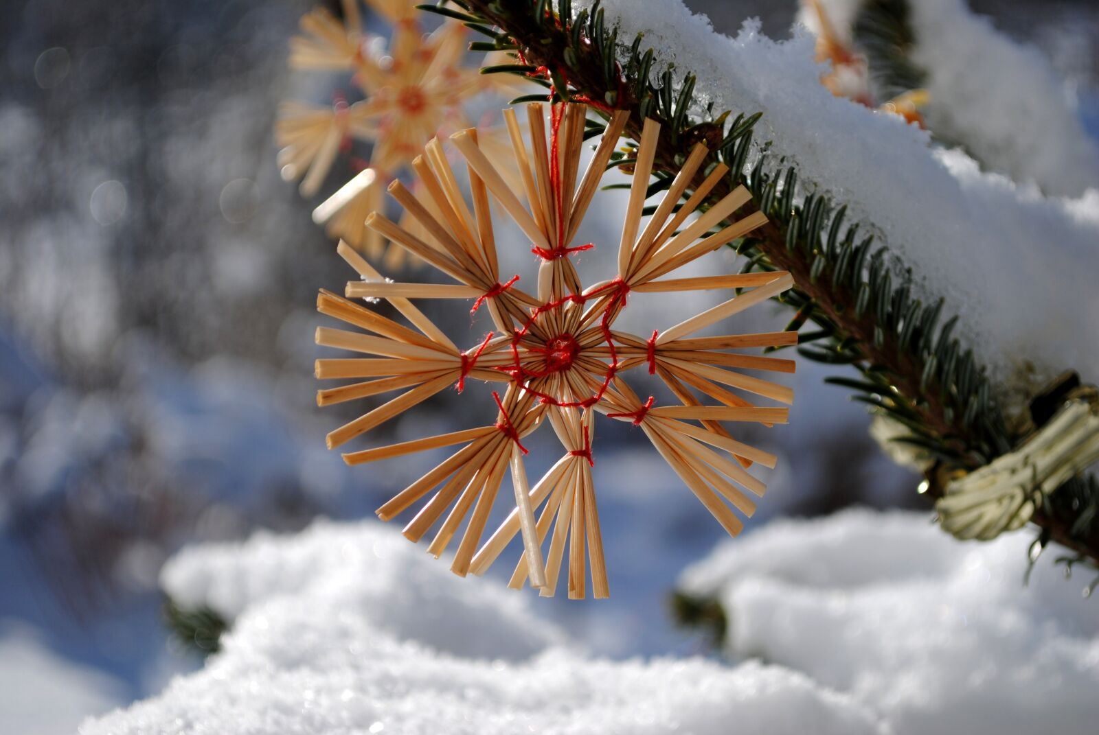 Nikon D3000 sample photo. Strohstern, christmas, snow photography