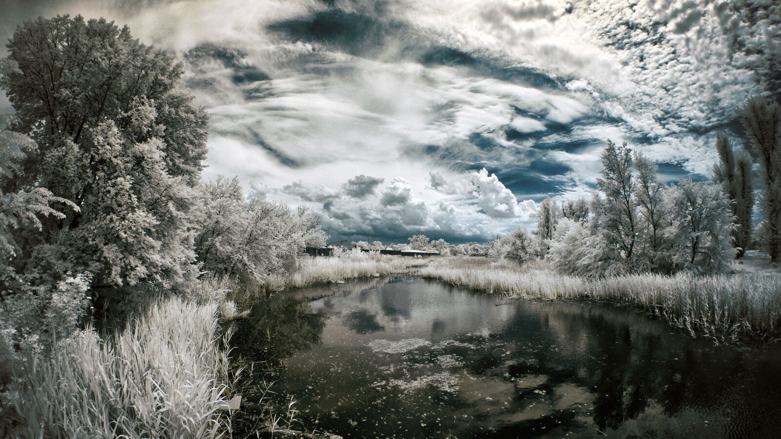 Nikon D60 sample photo. Ir, infrared, landscape photography