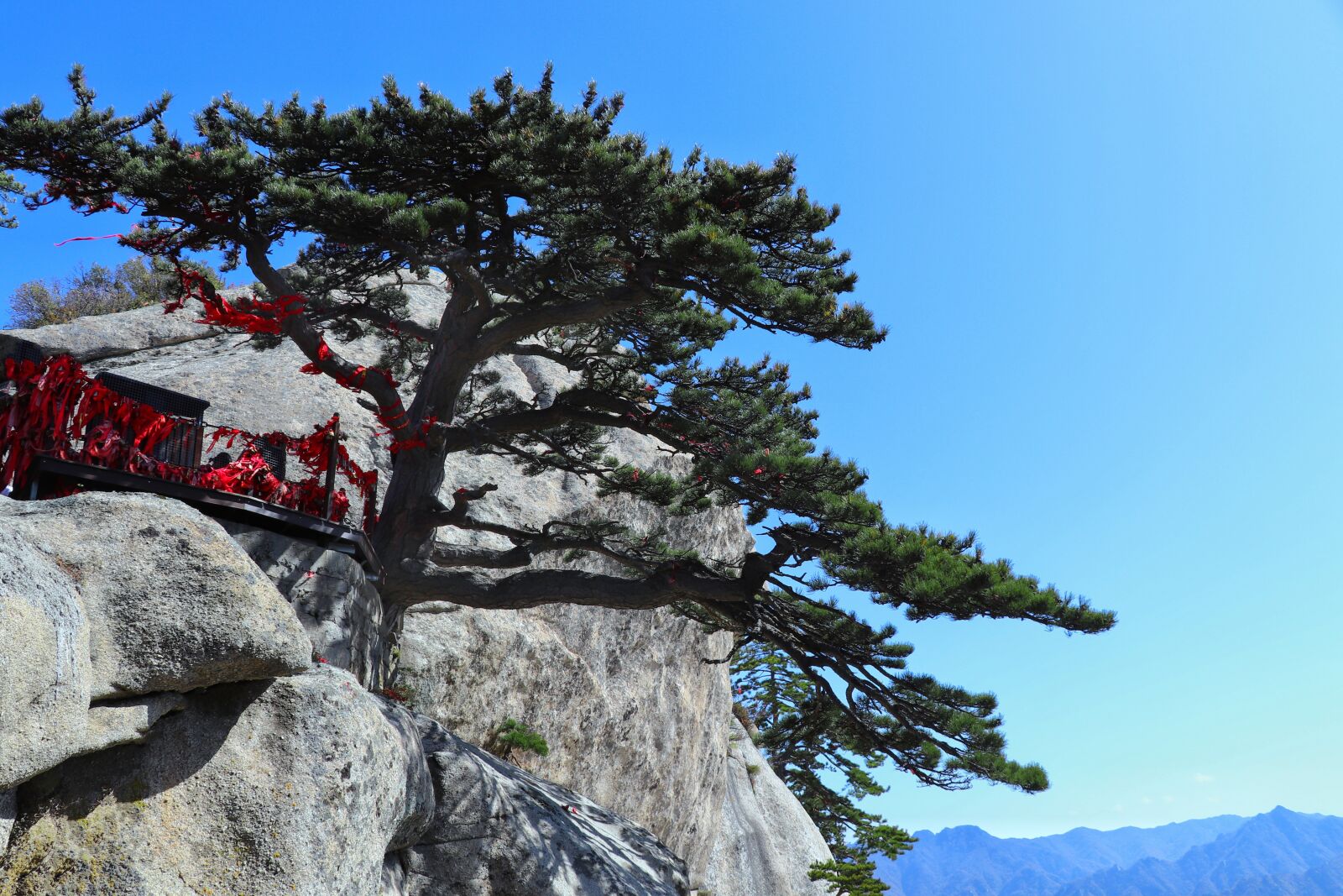 Canon EF-S 18-135mm F3.5-5.6 IS USM sample photo. China, shaanxi province, pinus photography