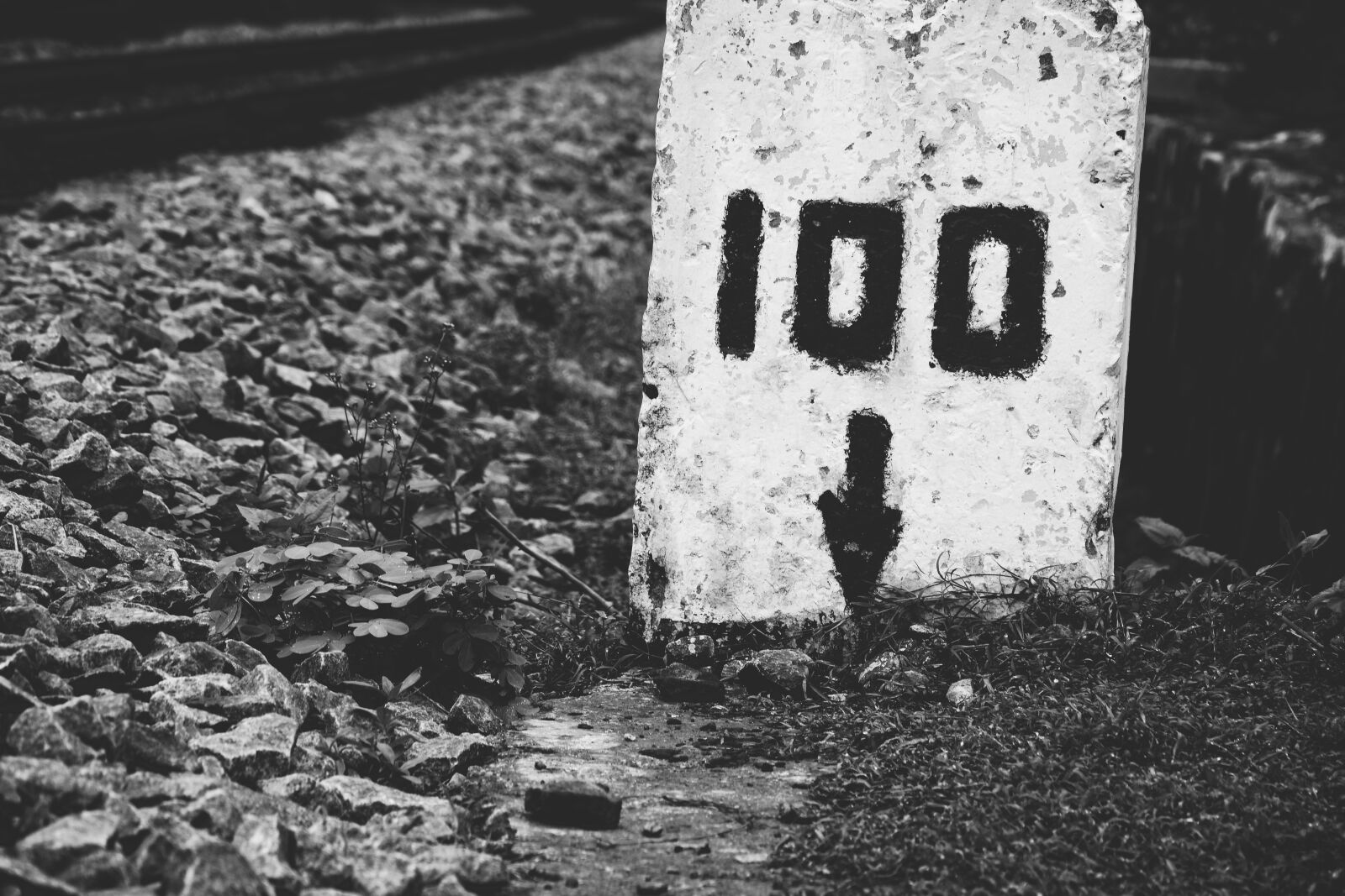 Nikon D7200 sample photo. Milestone, 100, rail photography