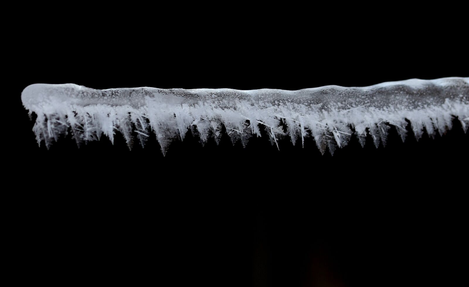 Canon EF-S 60mm F2.8 Macro USM sample photo. Frozen, snow, winter photography