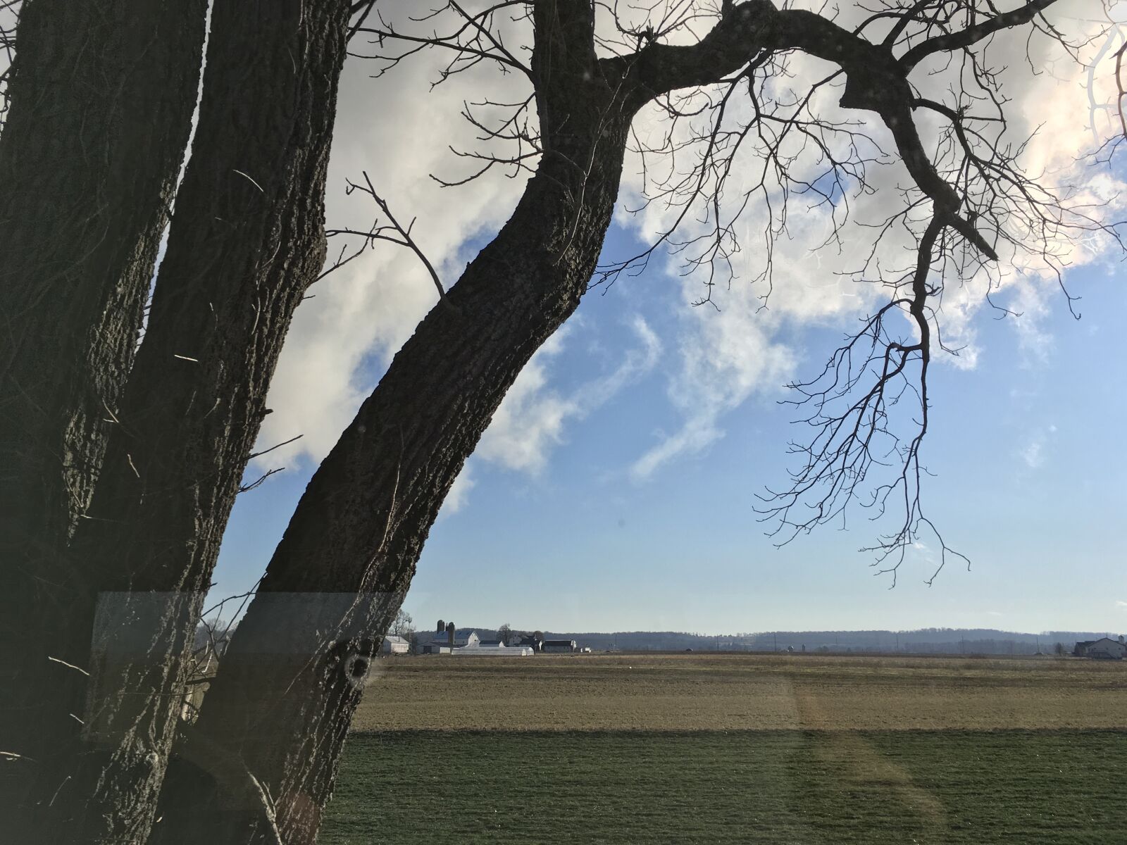 iPad Pro back camera 4.15mm f/2.2 sample photo. Pennsylvania countryside, trees, landscape photography