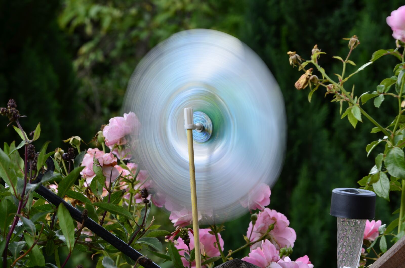 Nikon D5100 sample photo. Runner, windmill, garden photography
