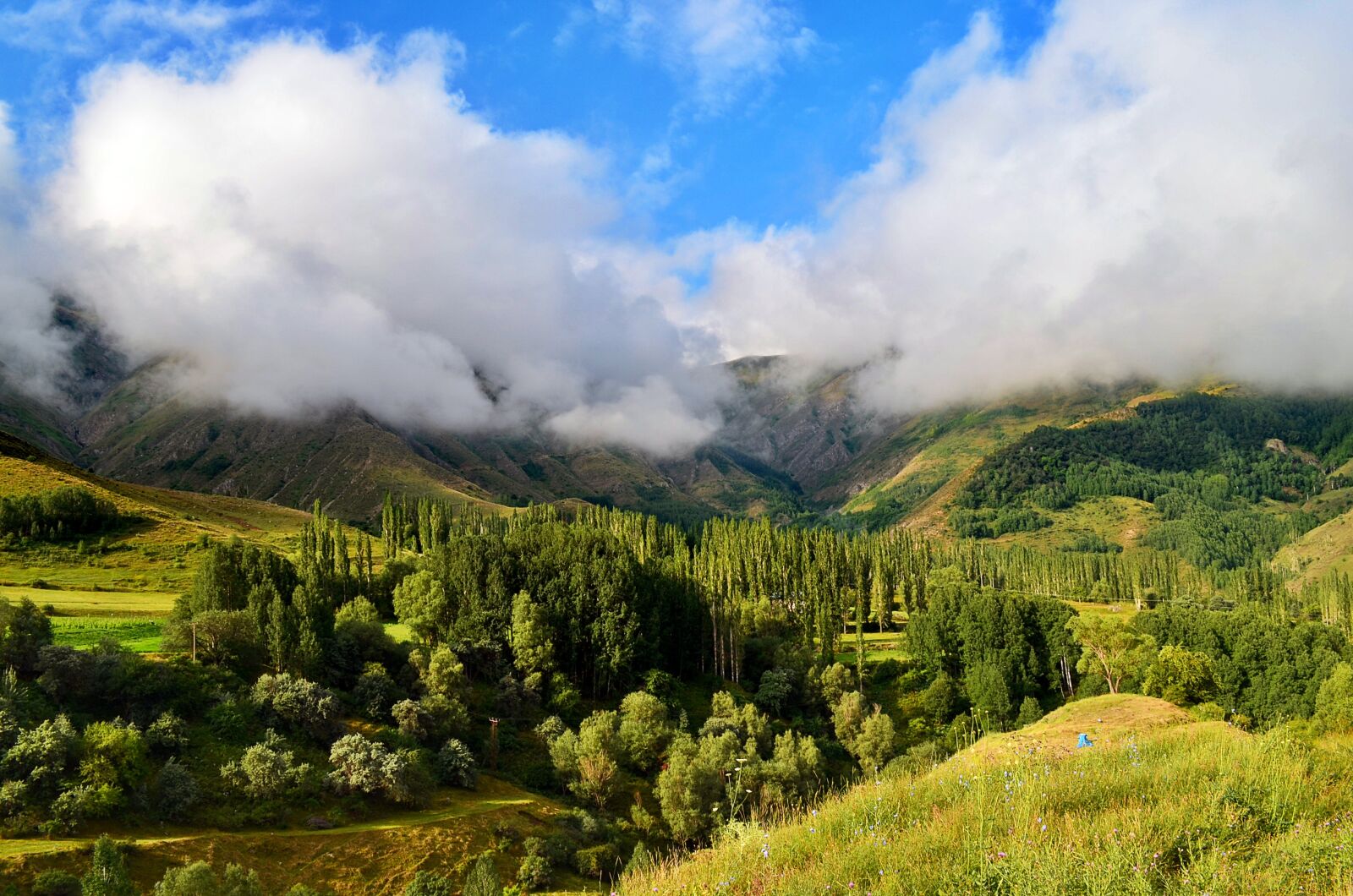 Nikon D5100 sample photo. Nature, landscape, kaçkars photography