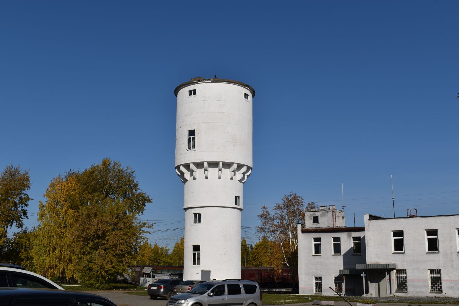 Nikon D3500 sample photo