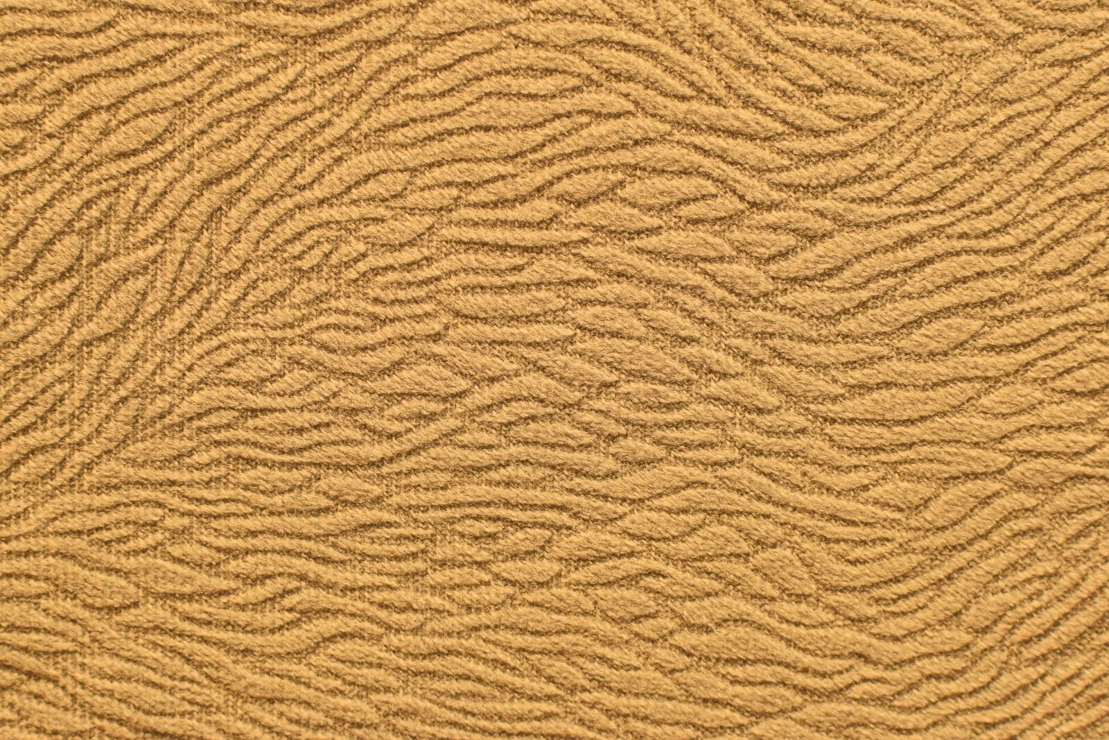 Nikon D5300 sample photo. Model, texture, abstract photography