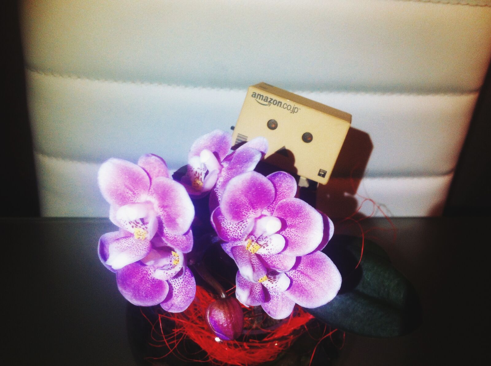 iPhone 4 back camera 3.85mm f/2.8 sample photo. Brace, danbo, danboard, flower photography