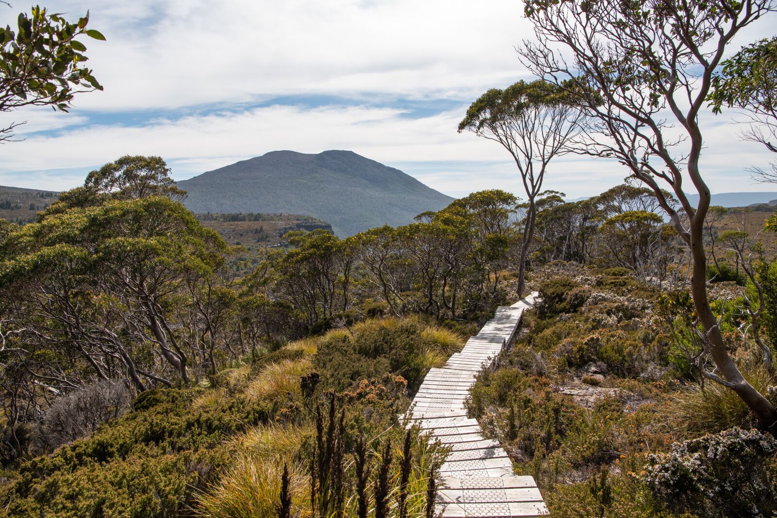 Nikon D750 sample photo. Overland track, tasmania, wilderness photography