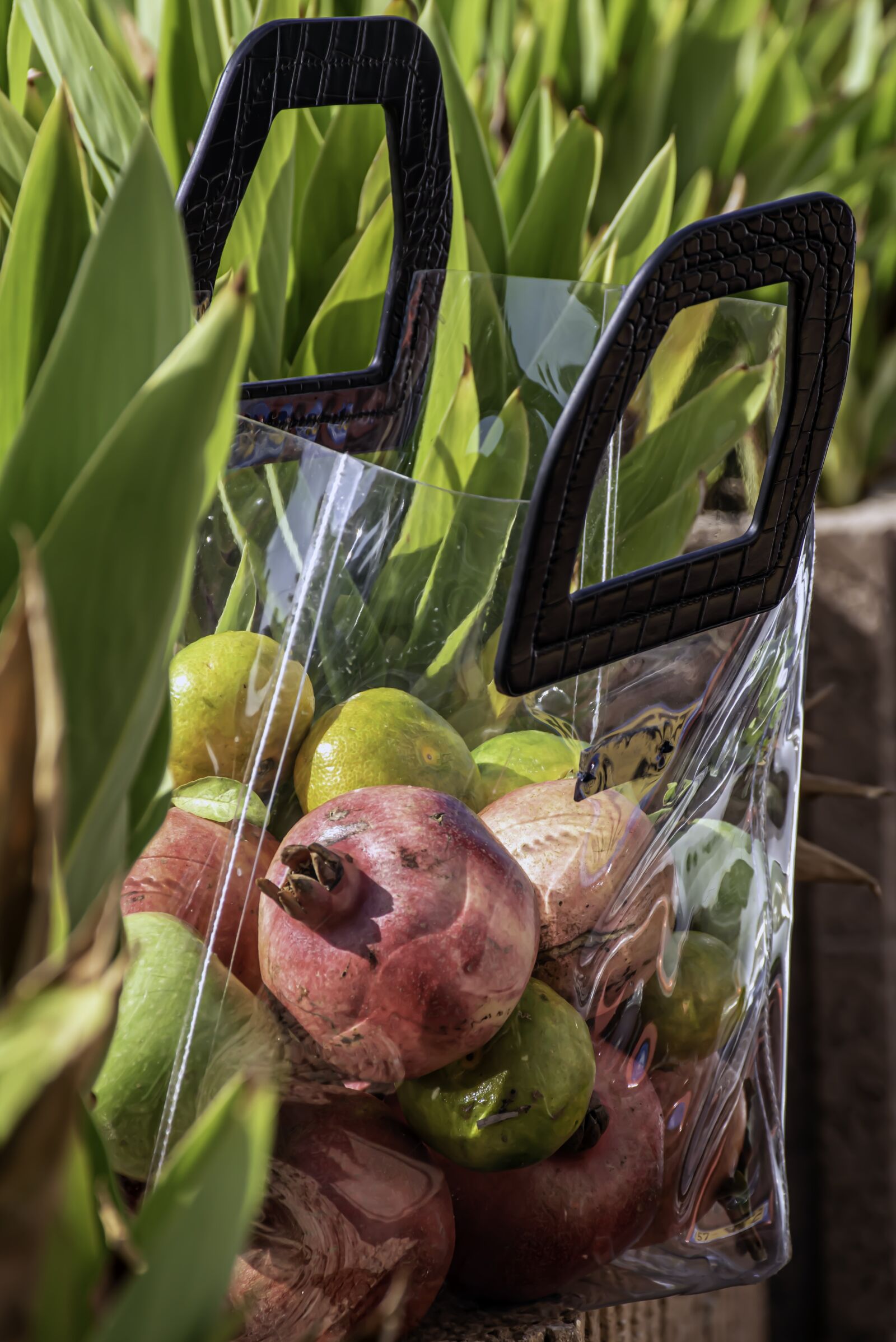 Nikon D5600 sample photo. Earth hour, harvest, fruits photography