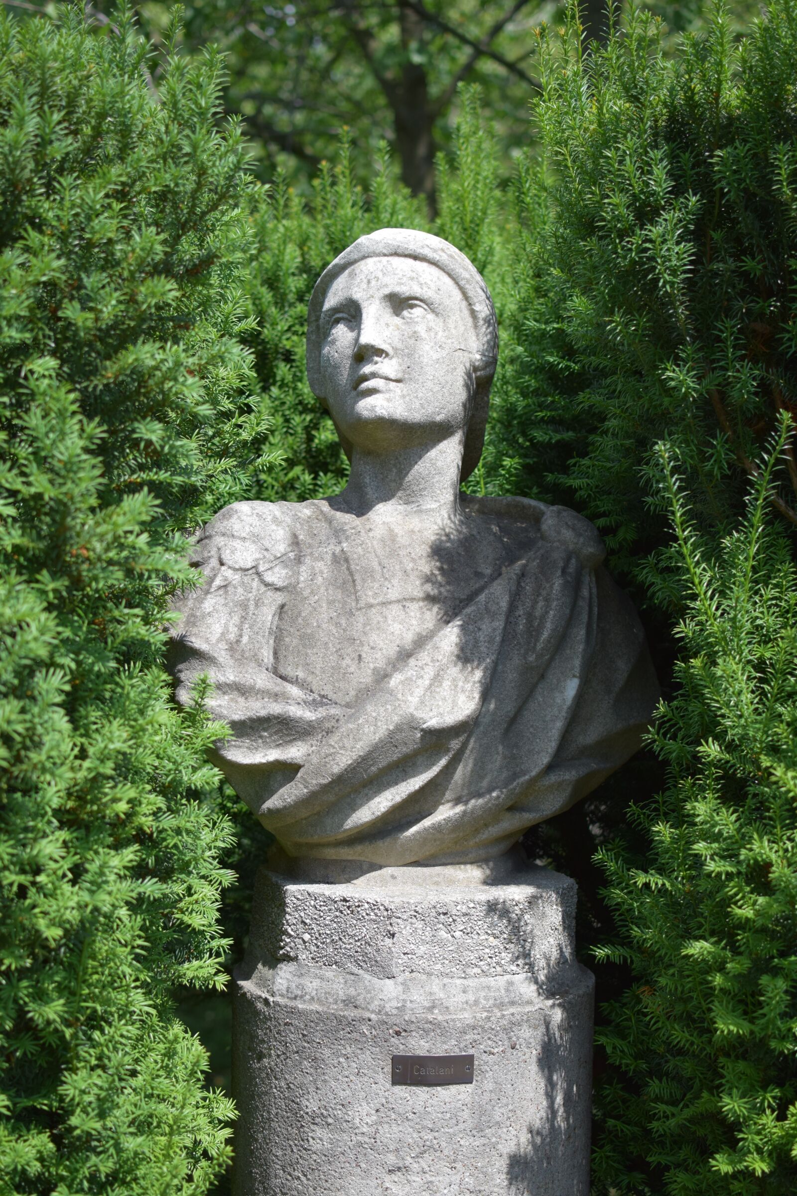 Nikon D5300 sample photo. Rose castle, rieder, bust photography