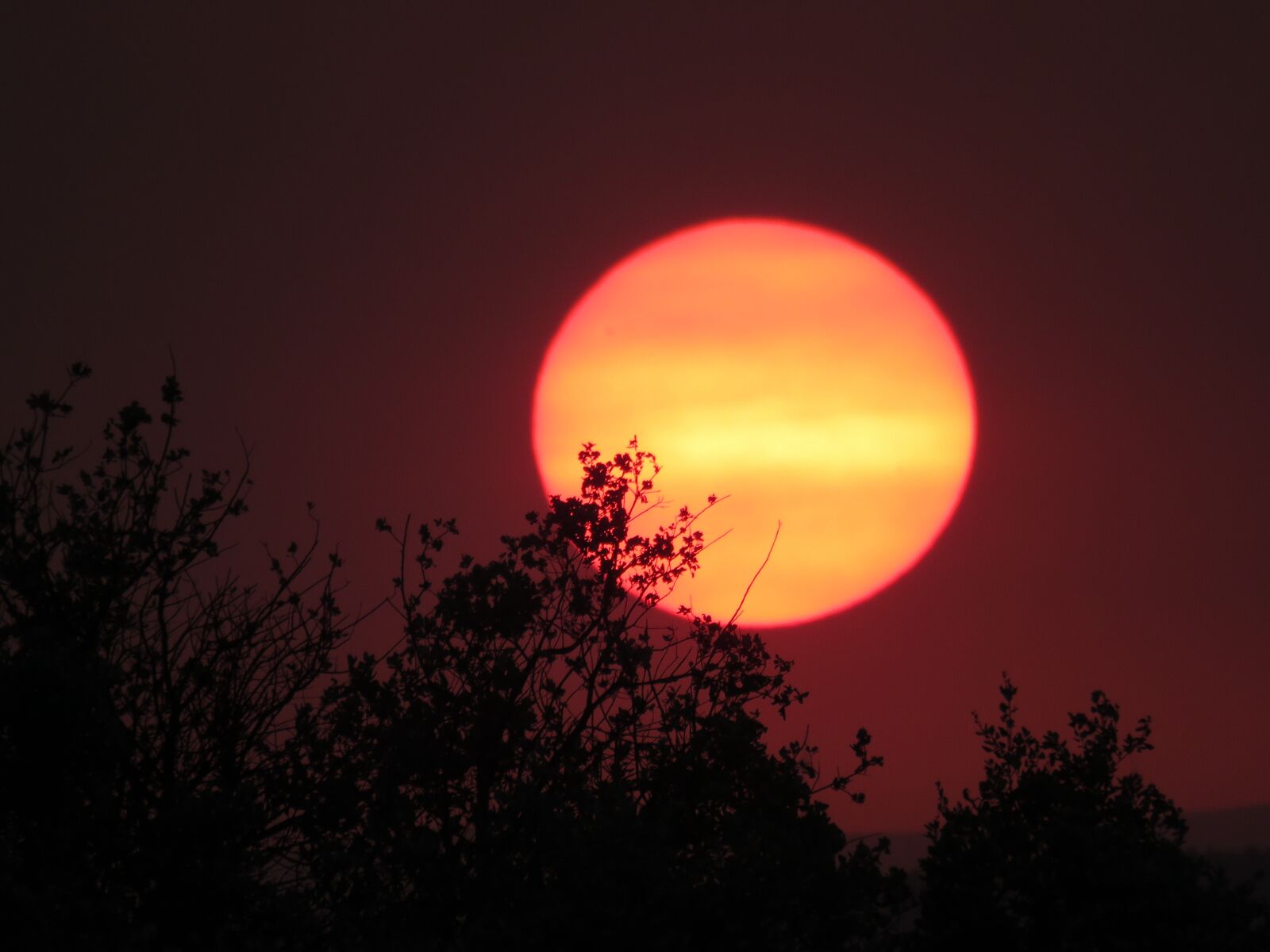 Canon PowerShot SX60 HS sample photo. Light, sol, twilight photography