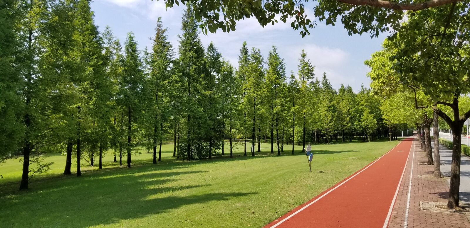 Samsung Galaxy S8 sample photo. Grassland, trees, athletic track photography