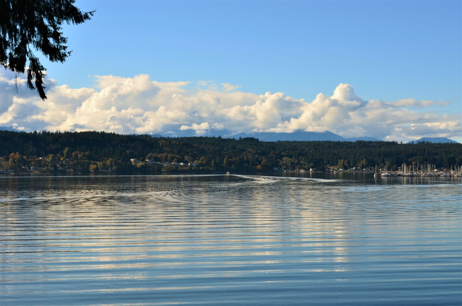 Nikon D5100 sample photo. Waterfront, sunset, winter photography