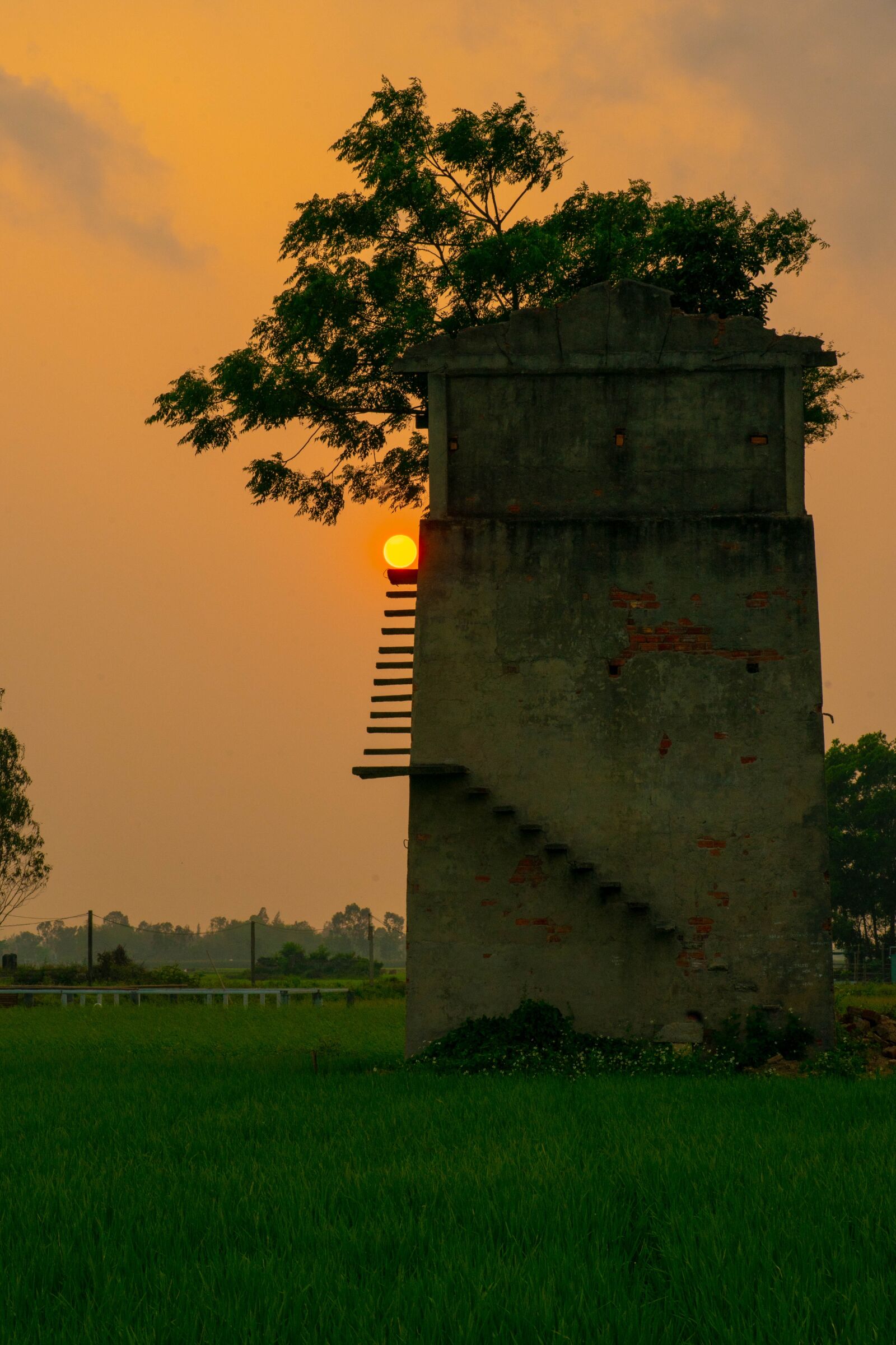 Samyang AF 85mm F1.4 FE sample photo. Sun, sunset, landscape photography