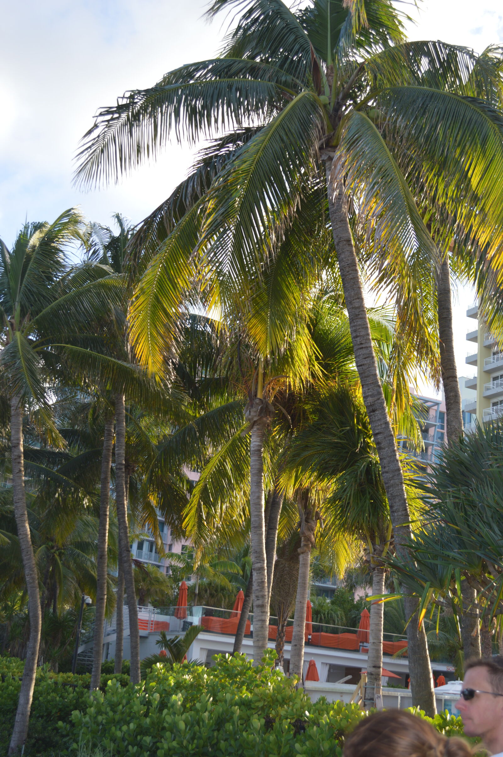 Nikon D3200 sample photo. Miami, beach photography