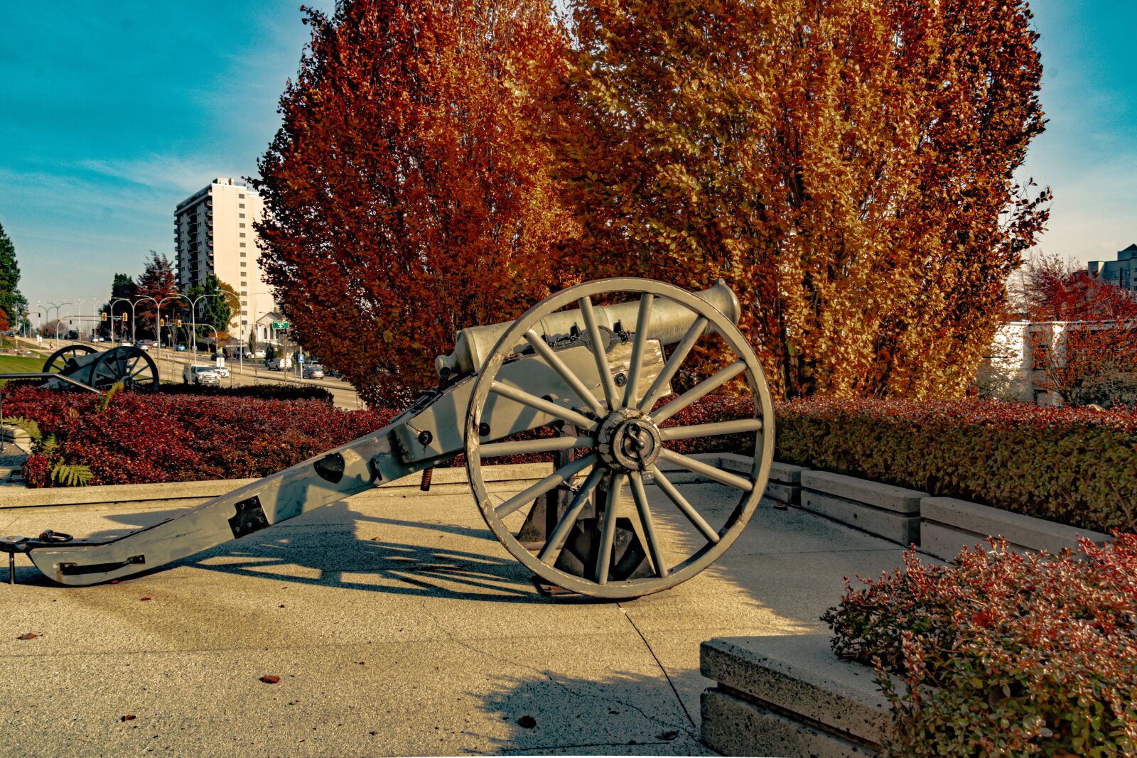 Nikon D7500 sample photo. Iron canon, historic, 18th photography