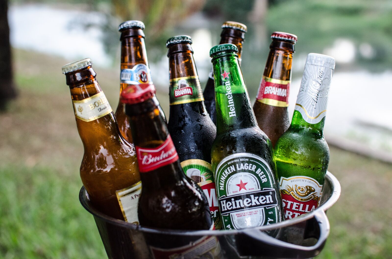 Nikon D5100 sample photo. Beers, bucket, cold photography