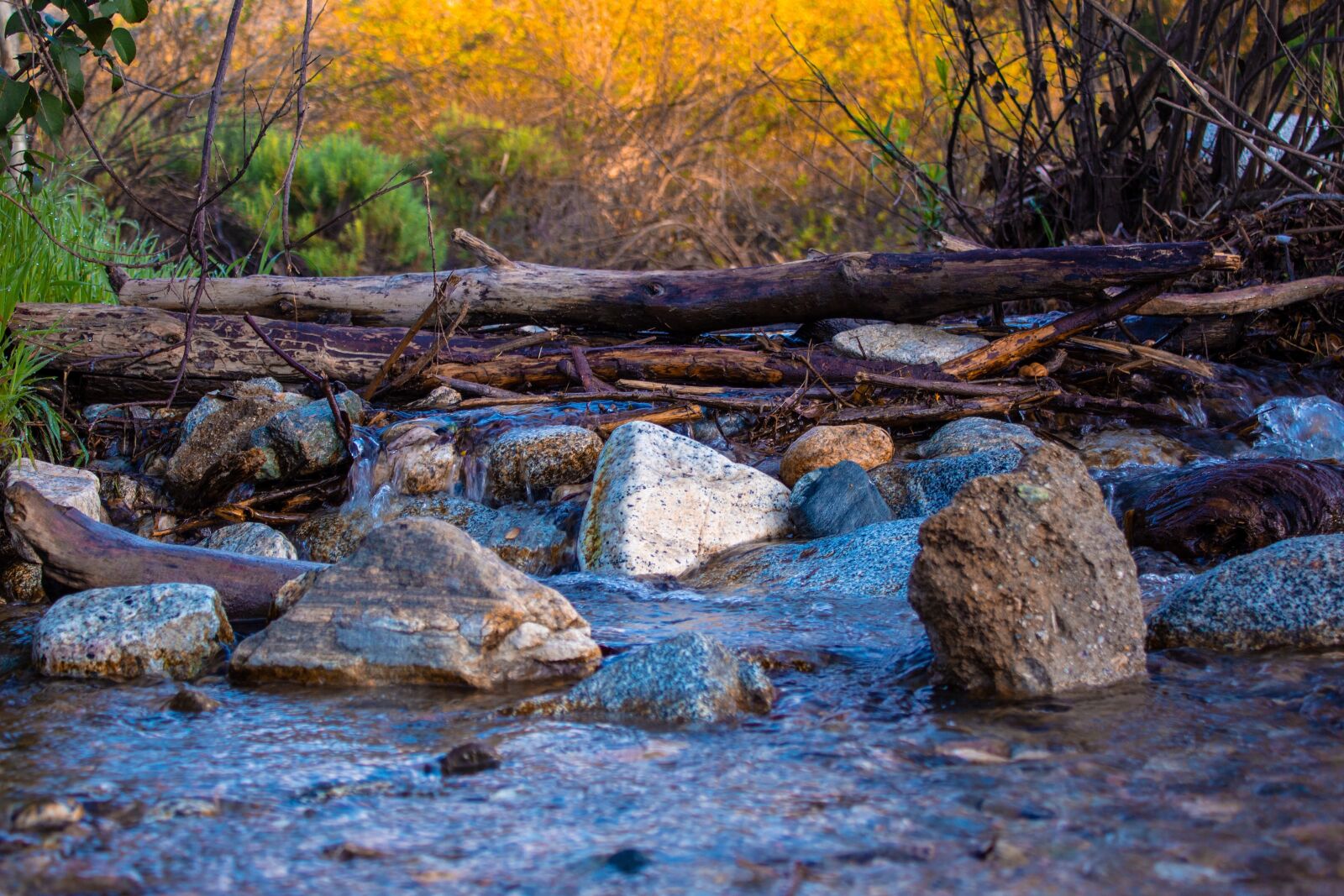Canon EOS 1300D (EOS Rebel T6 / EOS Kiss X80) sample photo. Water, stream, flowing photography