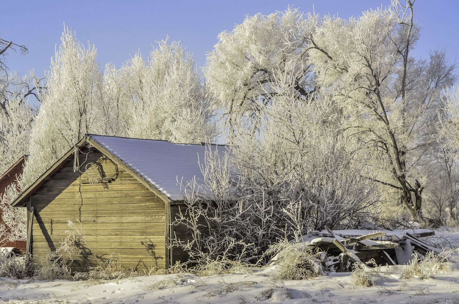 Nikon D7000 sample photo. Winter, old shed, hoarfrost photography