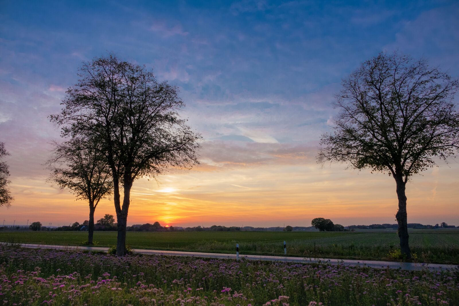 Sony Cyber-shot DSC-RX10 III sample photo. Road, abendstimmung, landscape photography