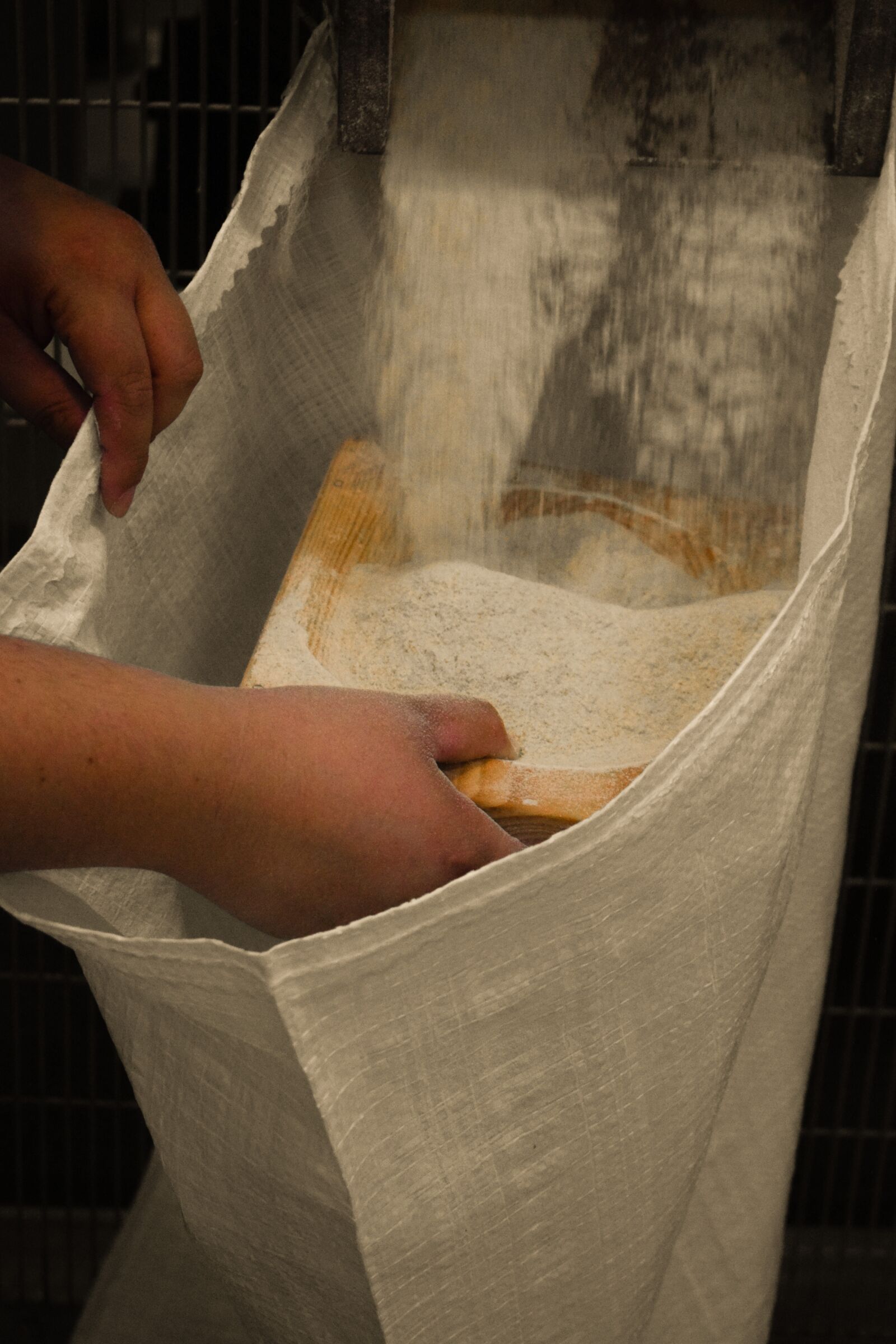 Nikon D3300 sample photo. Flour, milled, mill photography